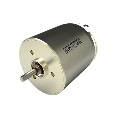 Totally Enclosed High Quality 12V DC Motor Brushed SMJ DC Motor
