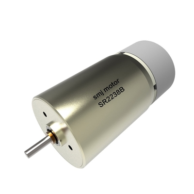 Totally Enclosed Japan High Torque 24v DC Servo Motor For Sale